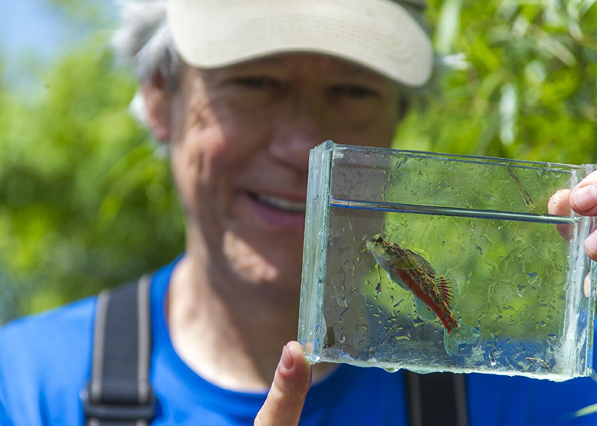 Bernie with Vermillion Darter