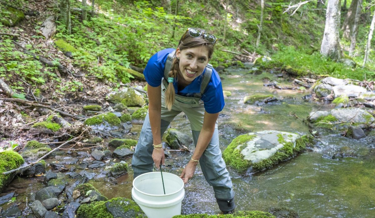 Meredith Harris releasing fish in stream