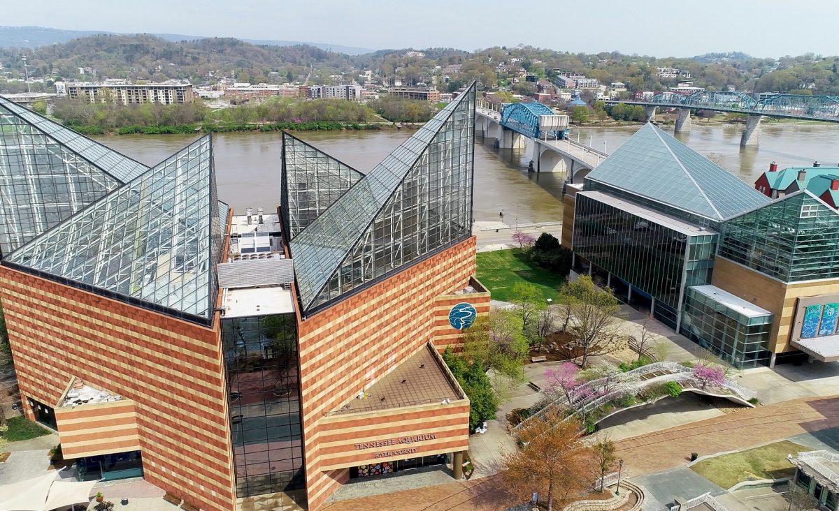 aerial view of Tennessee Aquarium buildings