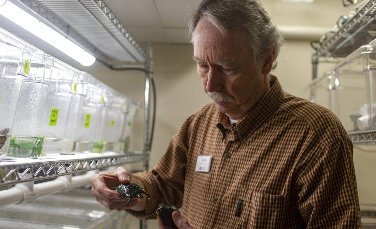 Dave Collins with Spotted Turtles