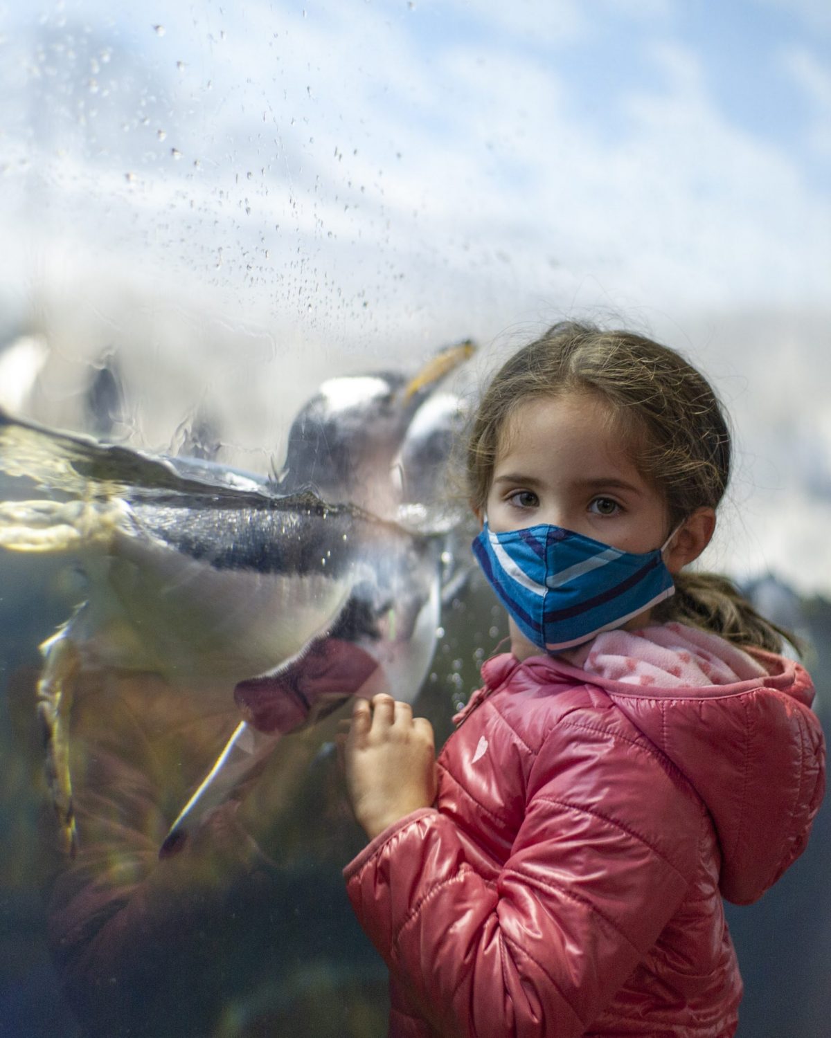 Girl with Gentoo Penguin