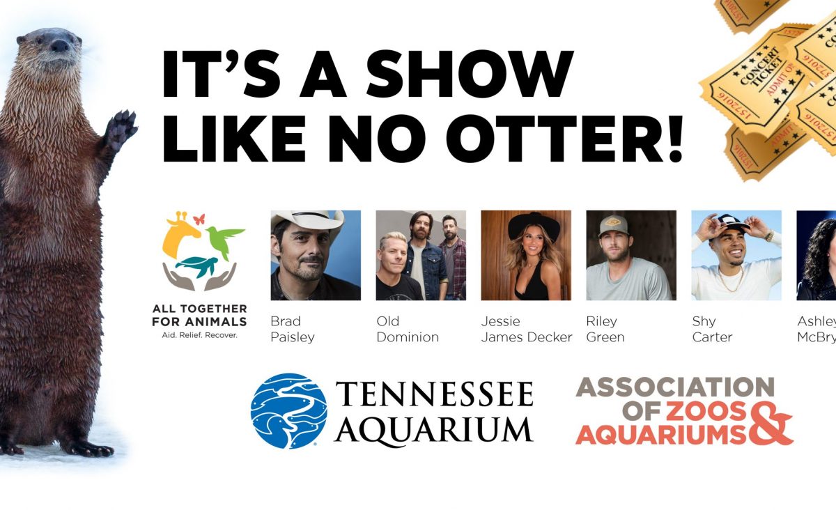 graphic featuring country artists and river otter with text that reads It's a show like no otter!