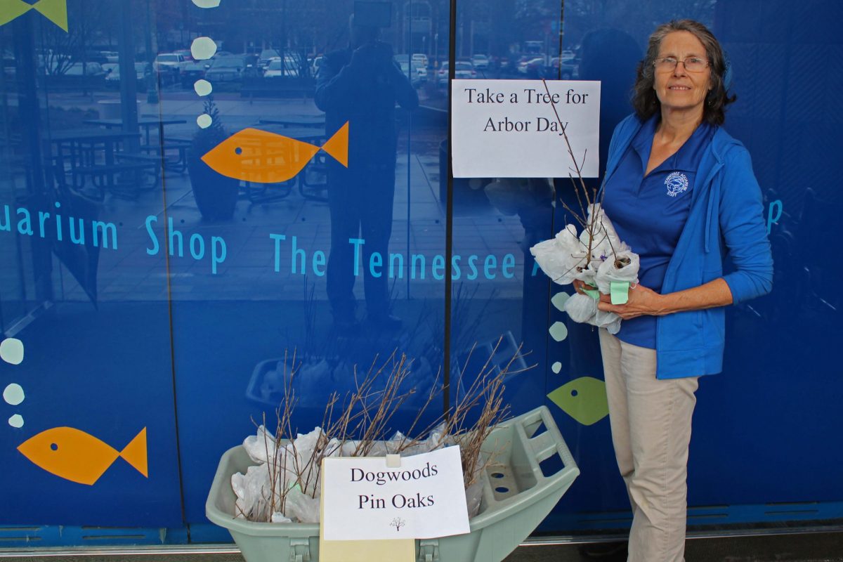 Christine Hunt prepares saplings to giveaway as part of Arbor Day