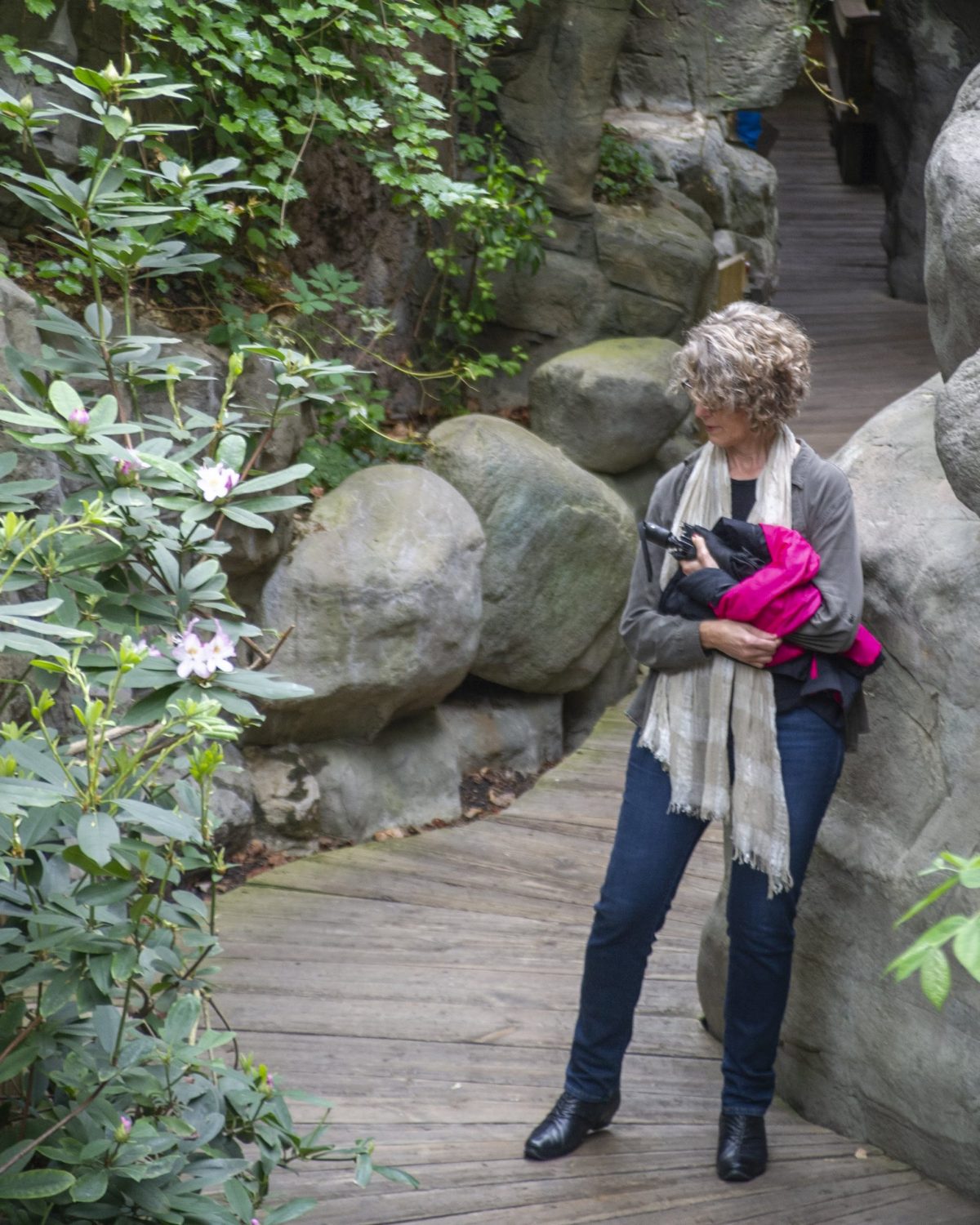 Guest stops to view blooms in the Appalachian Cove Forest gallery