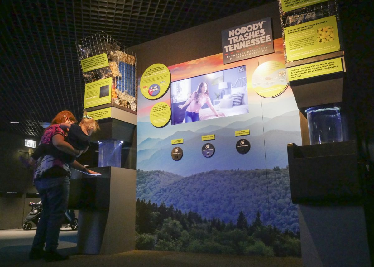 Guests viewing the Nobody Trashes Tennessee exhibit