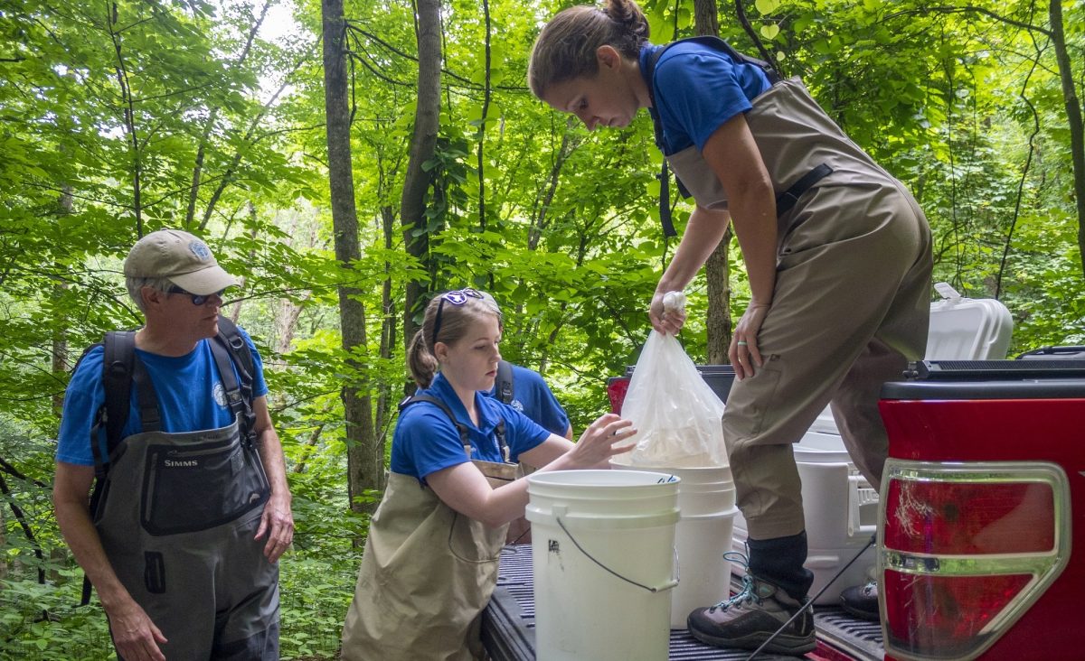 staff unloading brook trout from truck