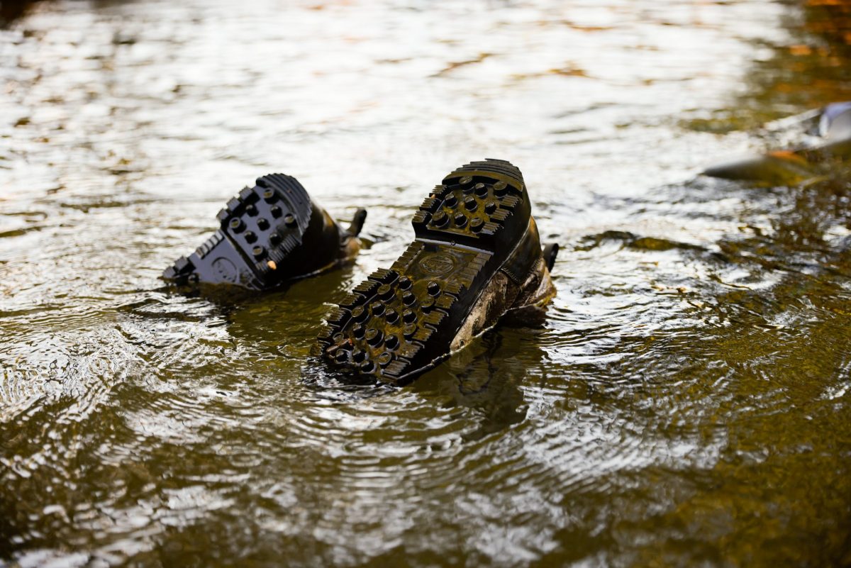 A snorkeler's boots stick up out of the waters of Holly Creek