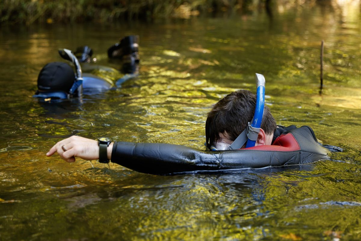 Snorkelers point to the location of a Bridled Darter in Holly Creek