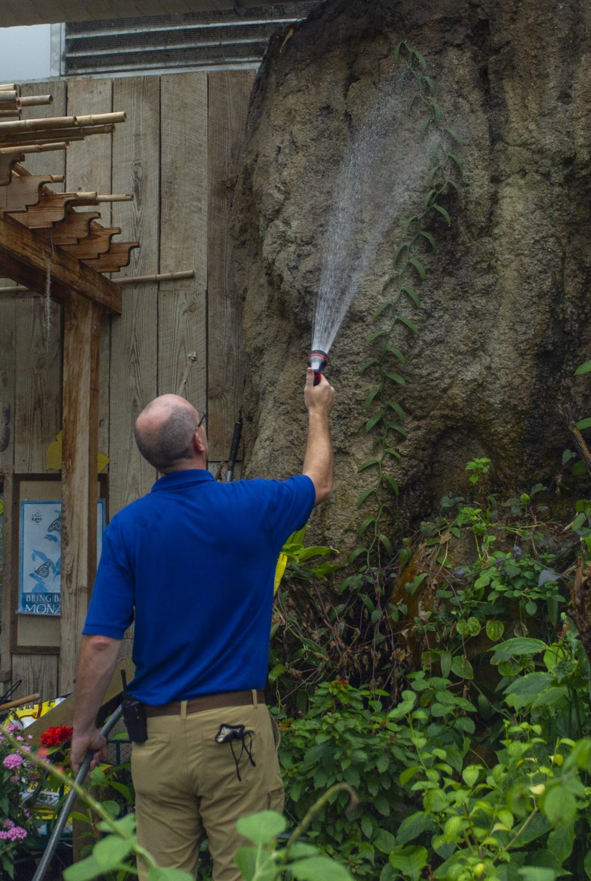 Horticulturist II Austin Prater waters plants, one of the many duties he undertakes each morning before guests arrive at the Aquarium