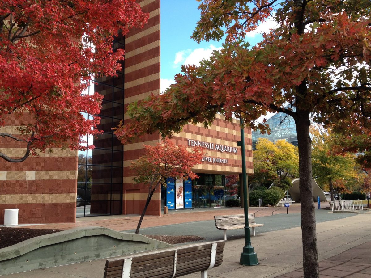 Tennessee Aquarium plaza in fall