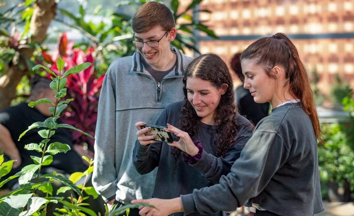 Aquarium visitors photographing butterfly