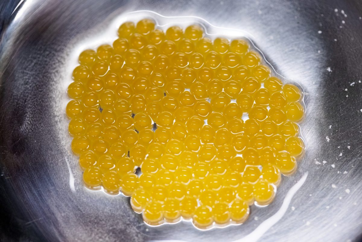 Eggs of a Southern Appalachian Brook Trout in a mixing bowl