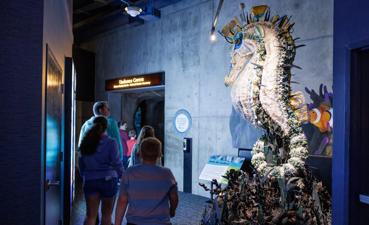 tella the Seahorse, a sculpture in the Washed Ashore art exhibition