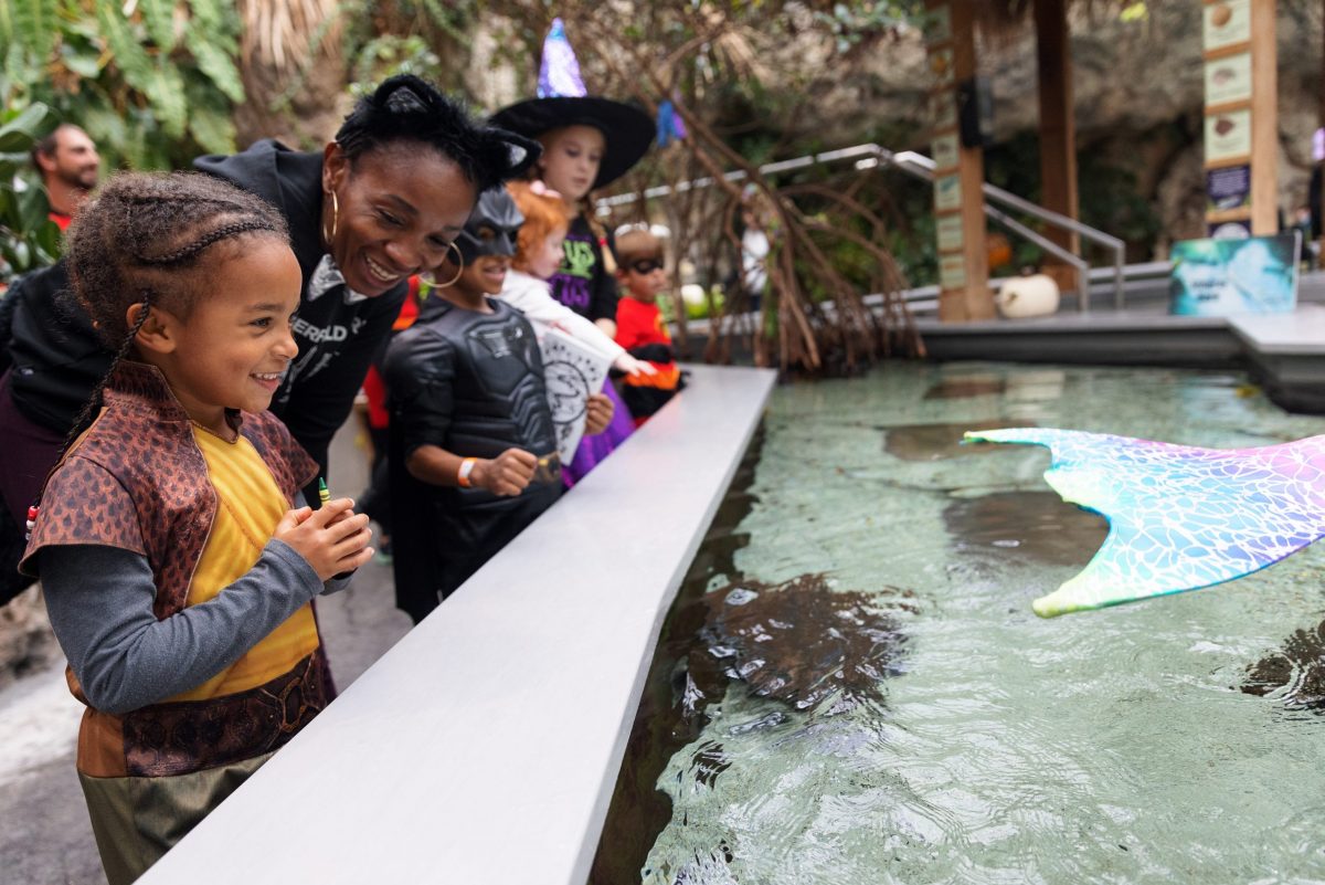 family in Halloween costumes at Aquarium touch tank