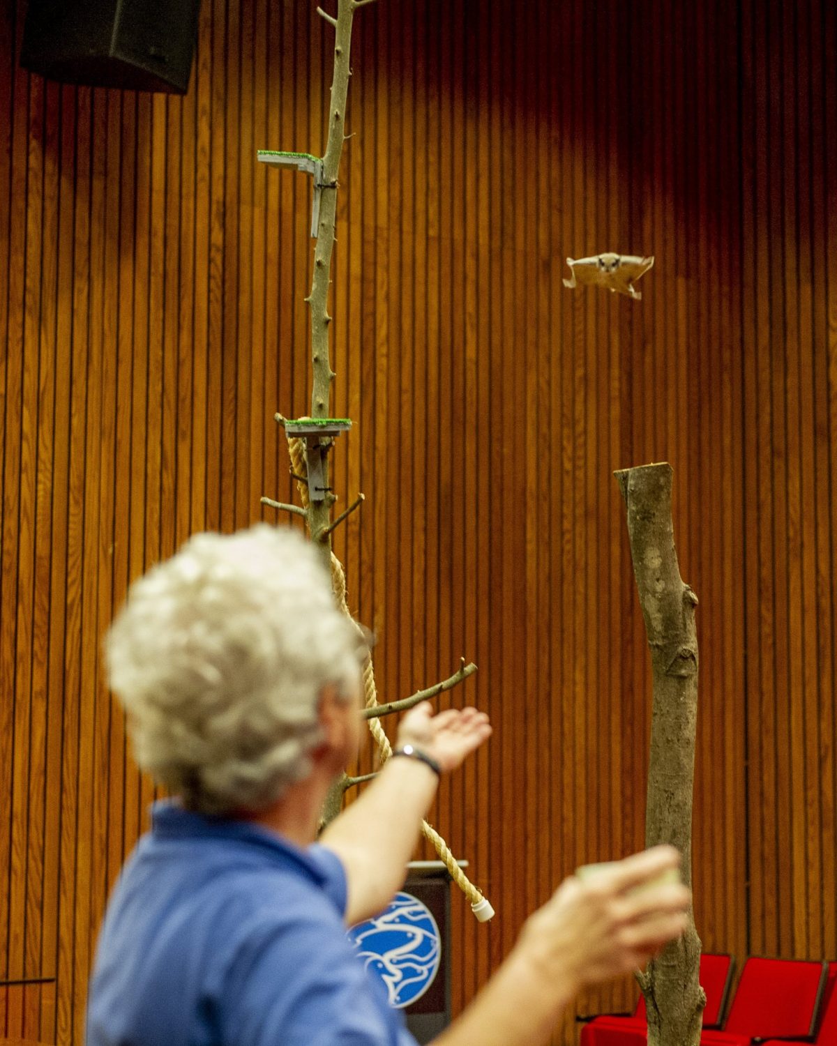 Senior Educator Julia Gregory holds out her hand in expectation of the imminent arrival of a Southern Flying Squirrel during training at the Tennessee Aquarium.