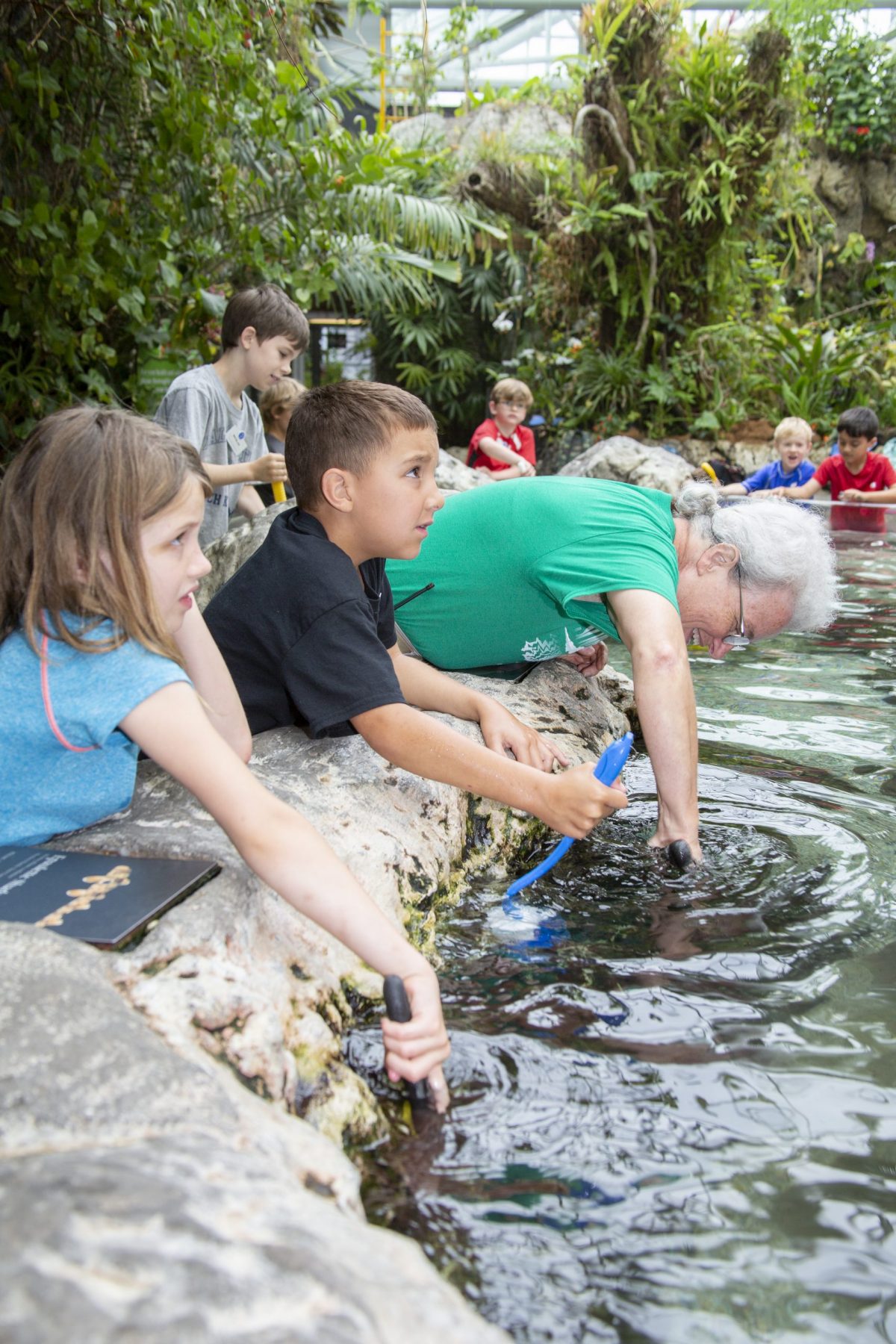 Senior Educator Julia Gregory demonstrates proper touching technique in Stingray Bay to summer campers