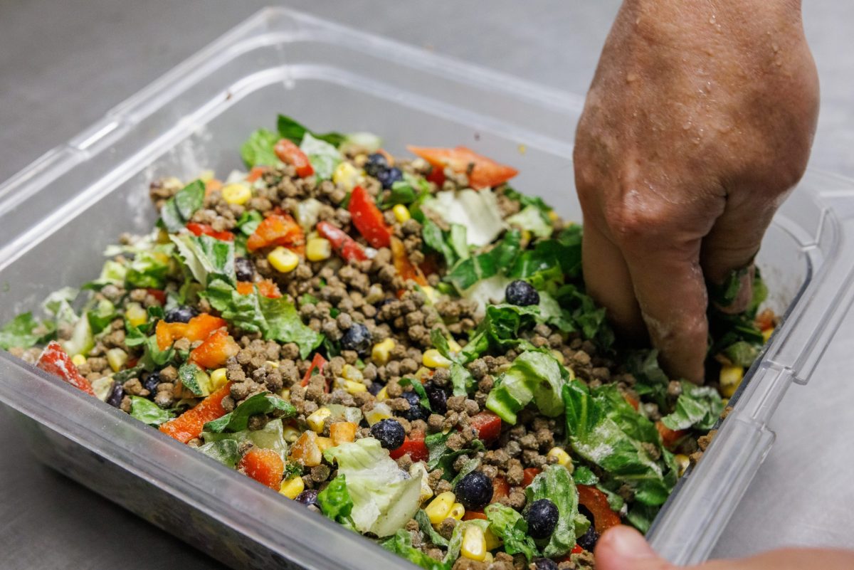 A hand mixing turtle food