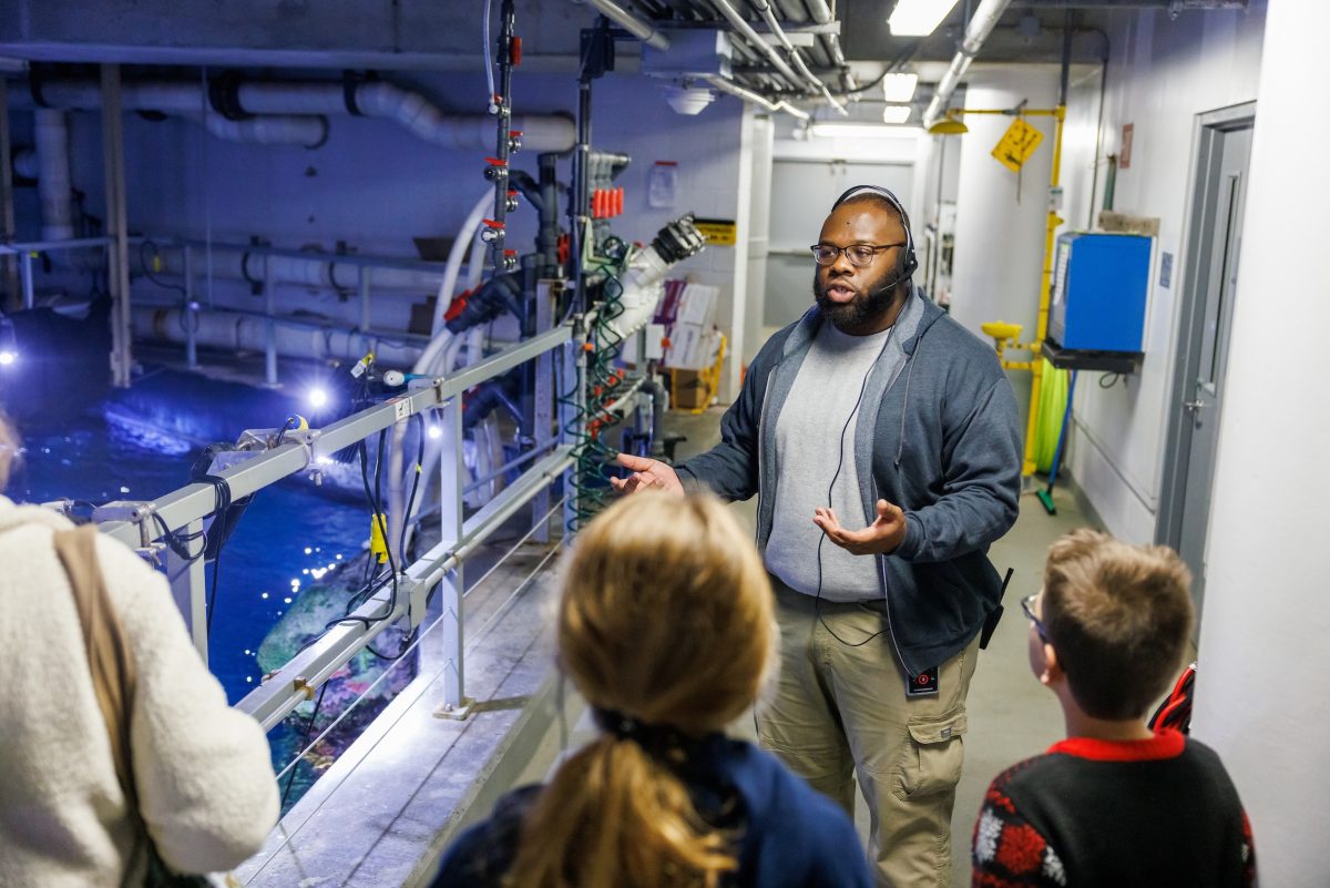 Educator with tour group above ocean tank