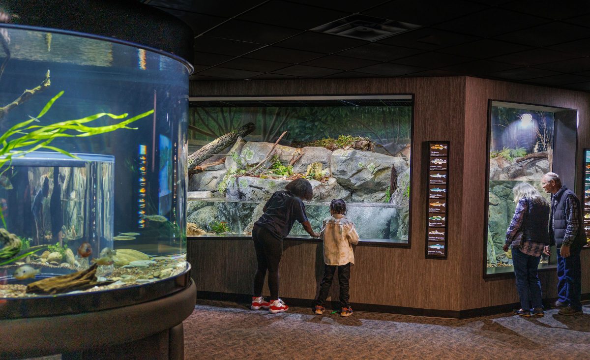 Guests enjoying the Ridges to Rivers gallery.