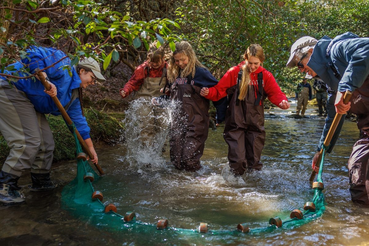 Students from Baylor School splash through the waters of Bumbee Creek to herd Laurel Dace into a collection net