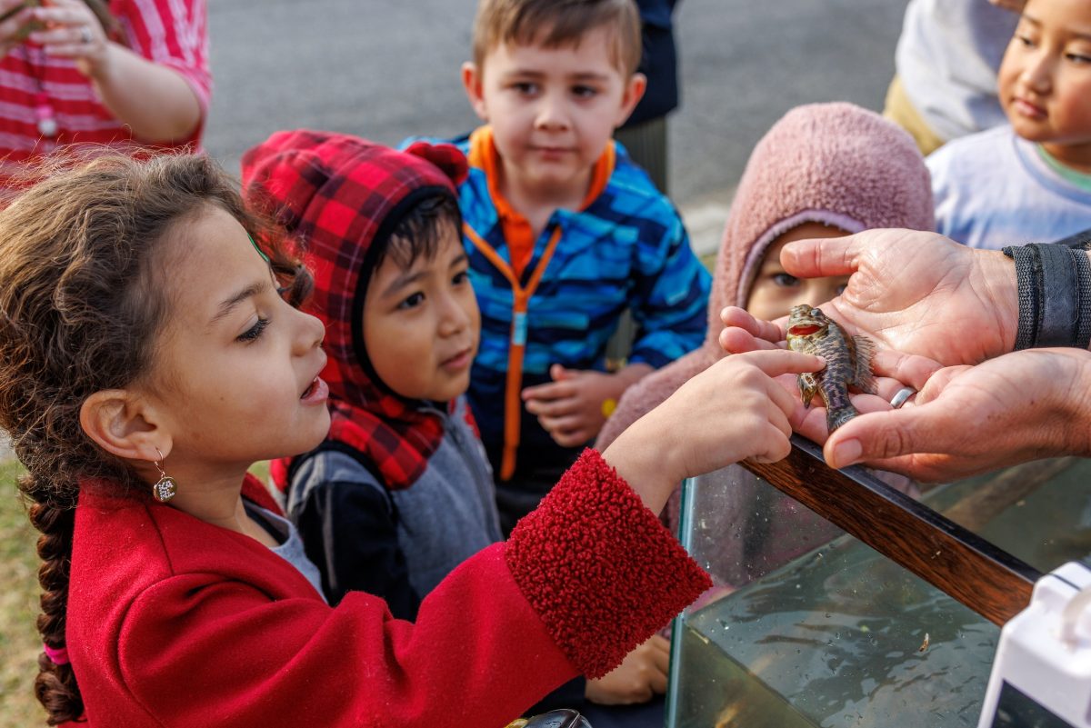 Students touch a sunfish