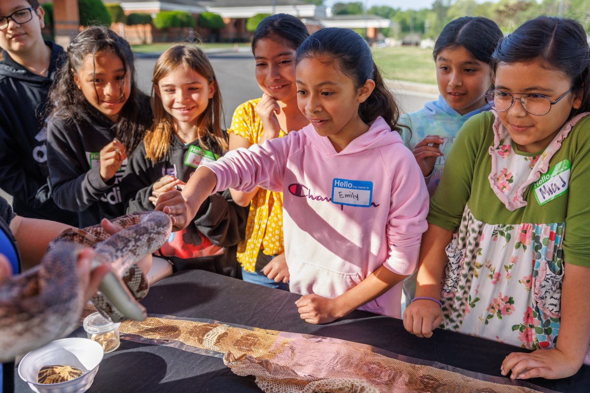 Students look excited while touching a snake