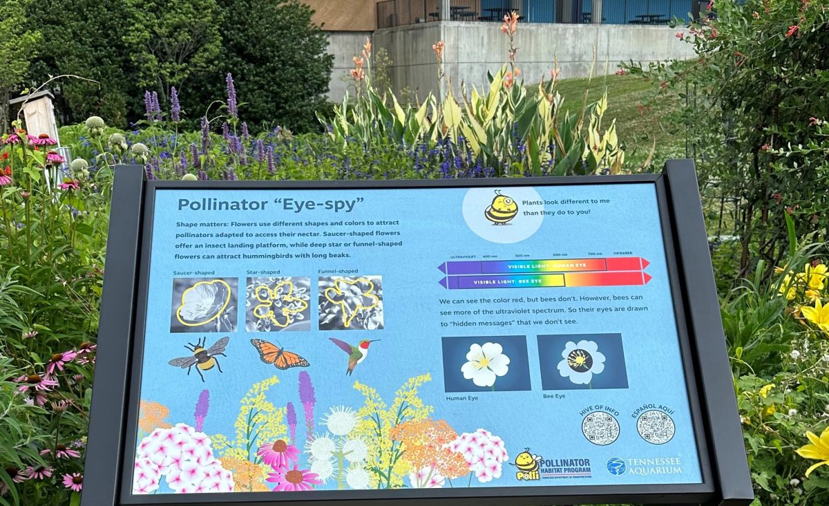 A Pollinator Pathway sign on the plaza of the Tennessee Aquarium.