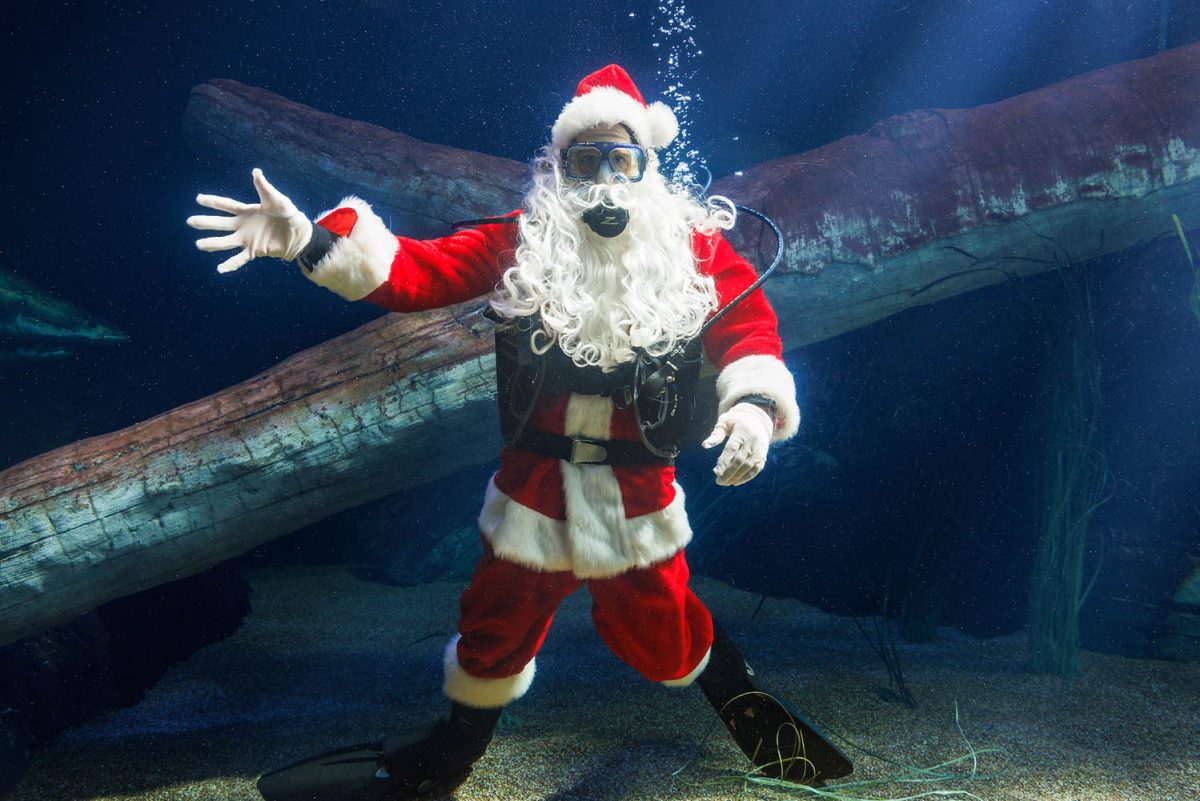 SCUBA Claus dives in River Giants.