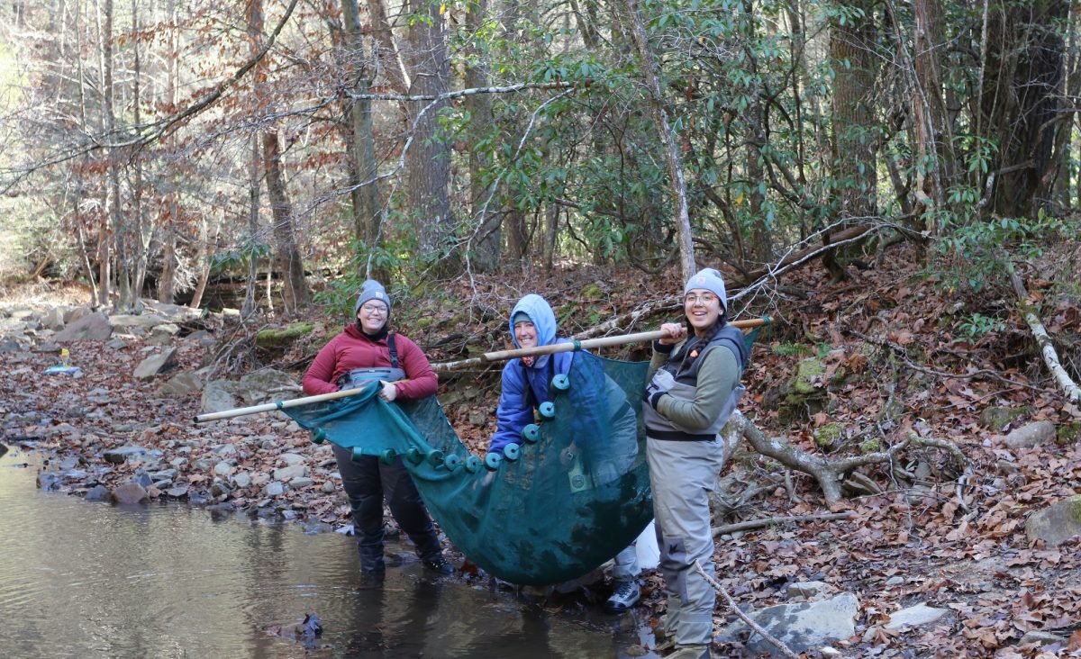 Freshwater scientists with the Tennessee Aquarium Conservation Institute