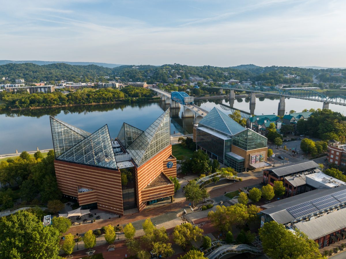 The Tennessee Aquarium.