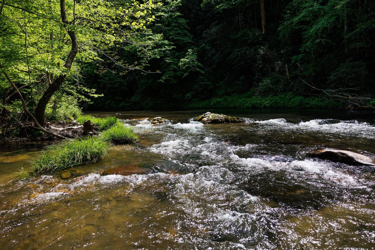 Water flowing in the Tellico River