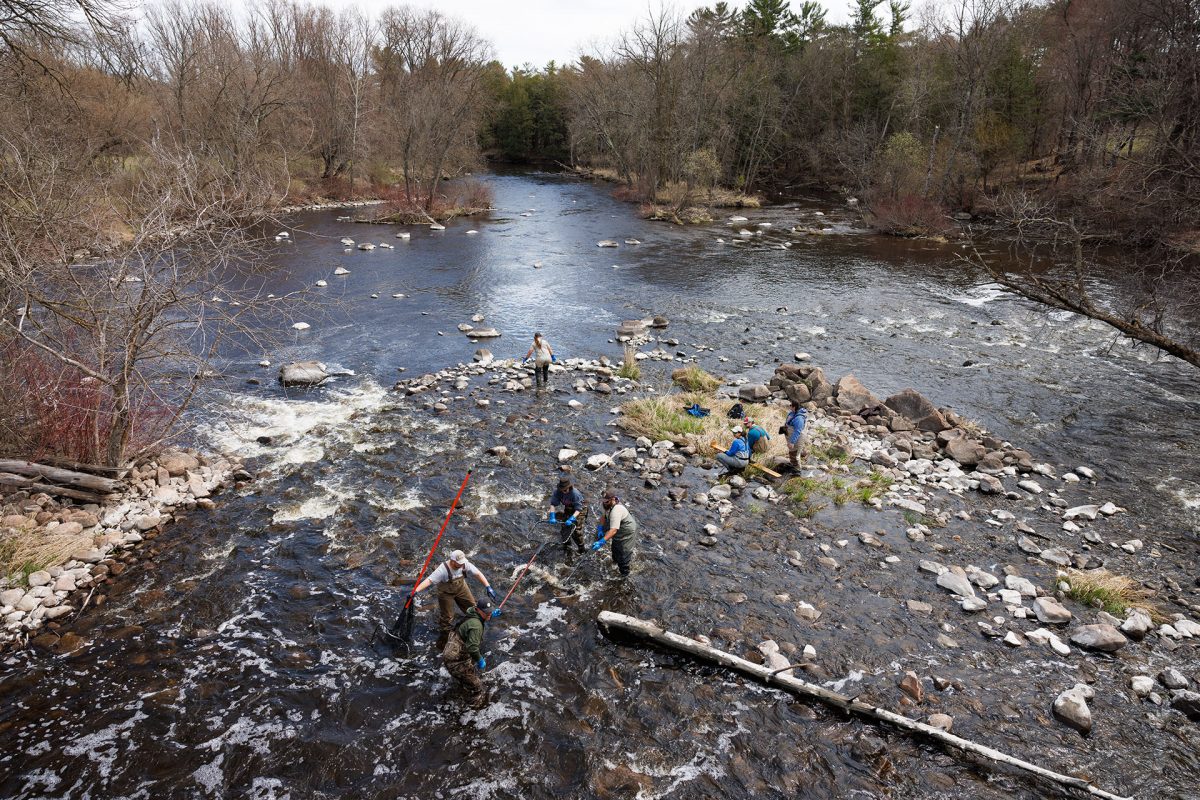 Scientists work in a river