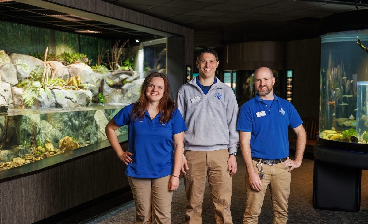 A woman and two men wearing Tennessee Aquarium clothing pose in front of a series of exhibits in a gallery