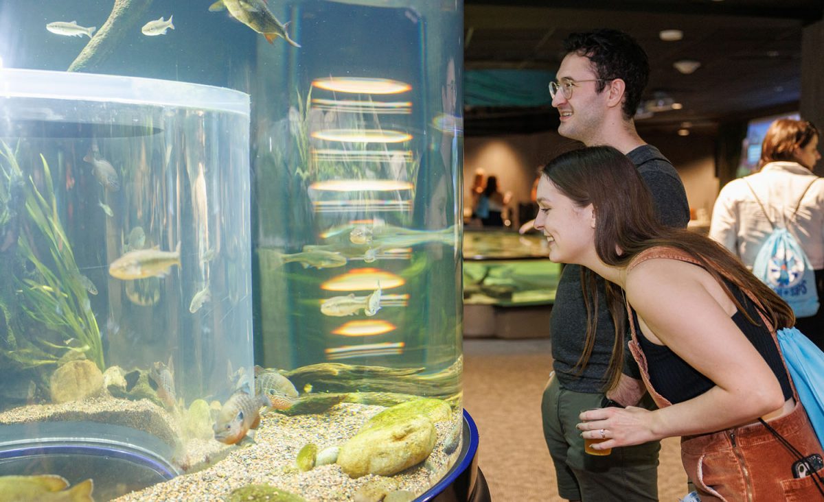 Guests enjoy the Fish & Sips event at the Tennessee Aquarium.