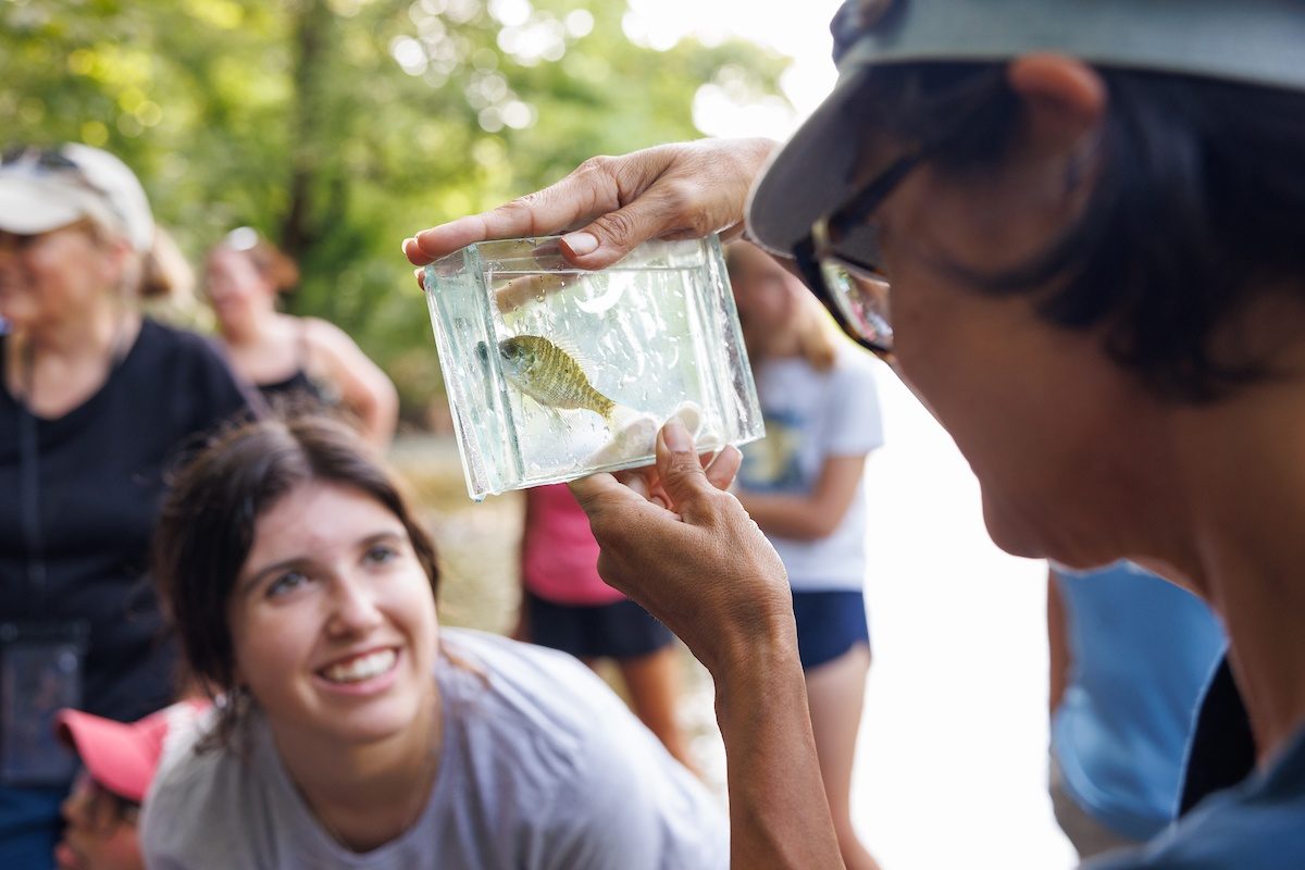 teacher looking at fish in viewing aquarium