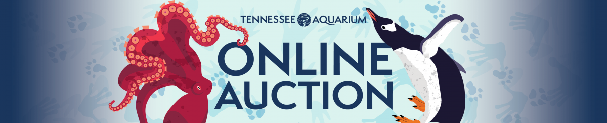 Online Auction_BANNER_2024_980x200_FINAL-01