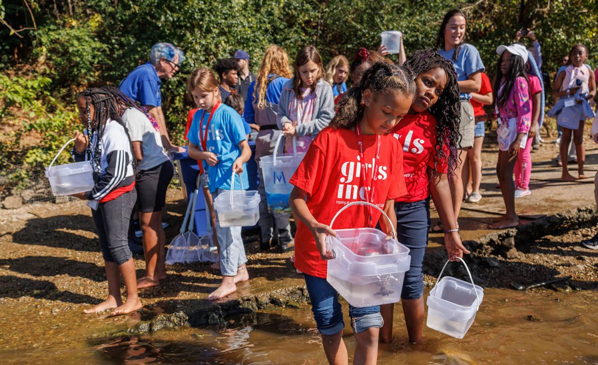 Students with Girls Inc. Chattanooga assist the Tennessee Aquarium Conservation Institute in releasing juvenile Lake Sturgeon into the Tennessee River.