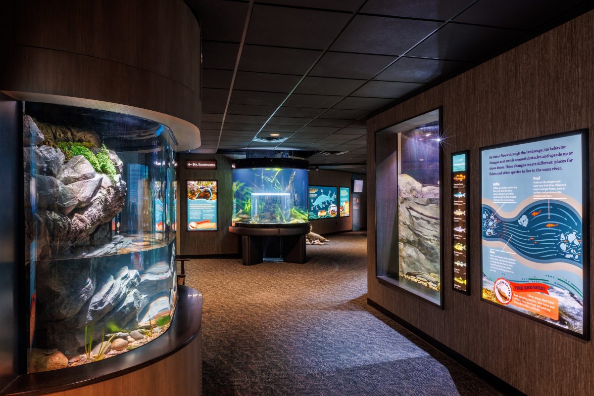 Ridges to Rivers gallery at the Tennessee Aquarium