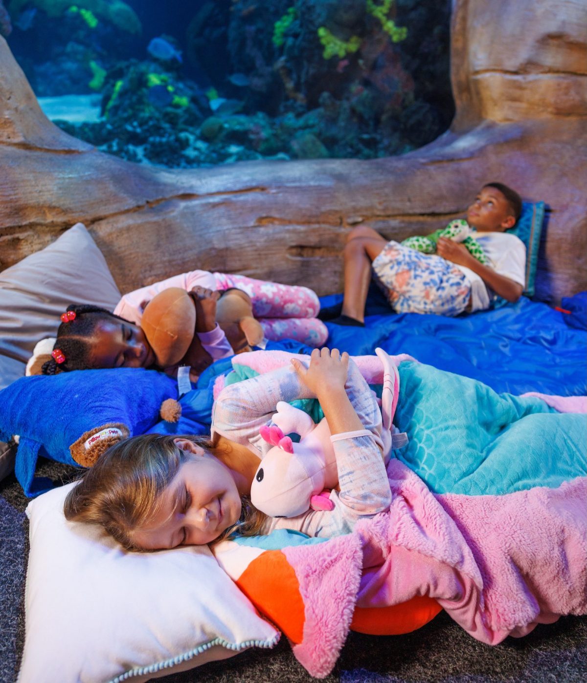 Sleep in the Deep at the Tennessee Aquarium