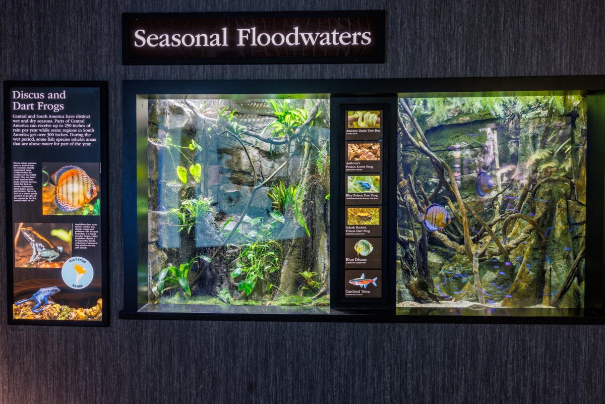 The Seasonal Floodwaters exhibit at the Tennessee Aquarium