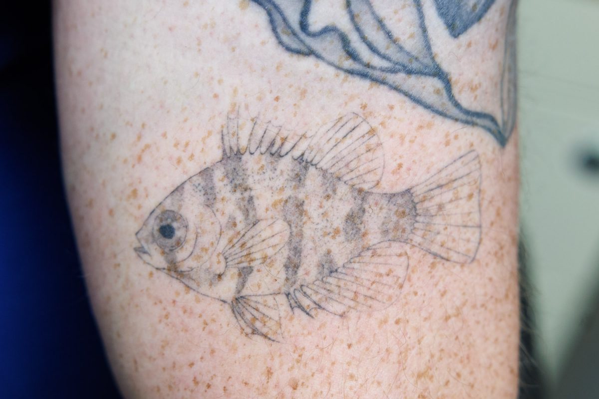 Black and white tattoo of a sunfish