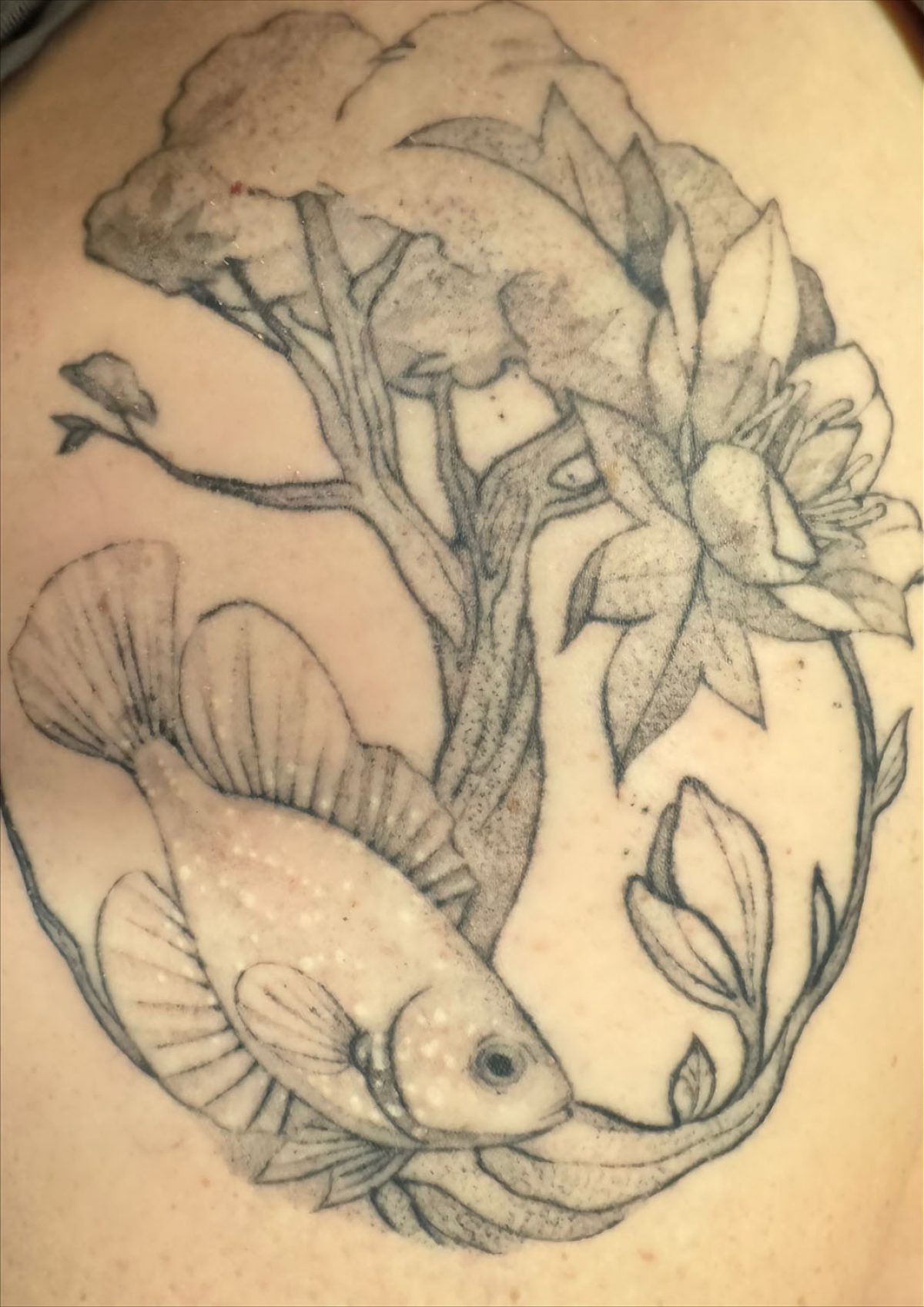 Tattoo of a sunfish and tree of life