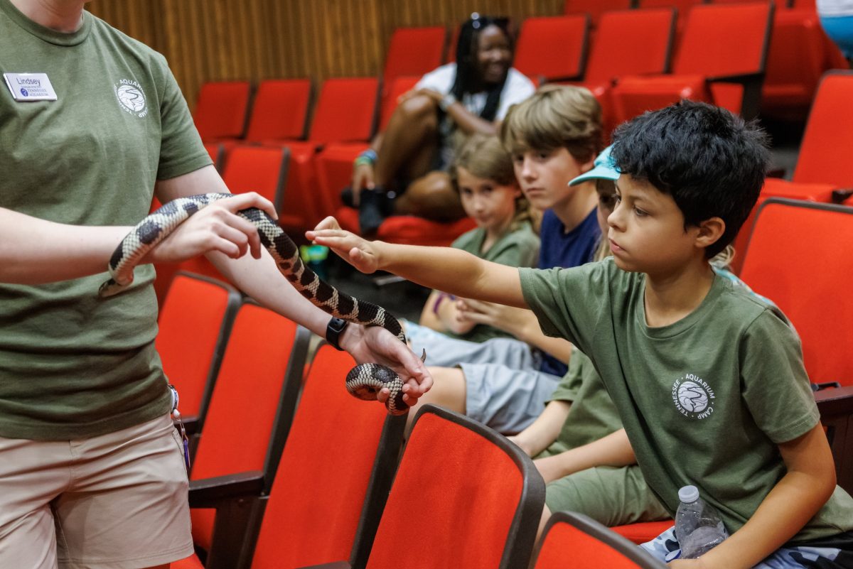 An animal encounter program during the Tennessee Aquarium's annual Summer Camp.