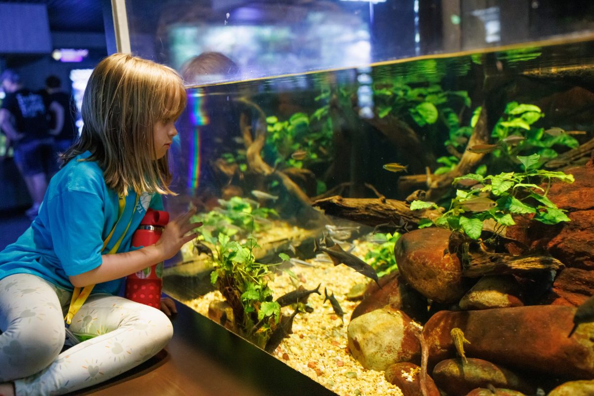 Tennessee Aquarium Summer Camp.