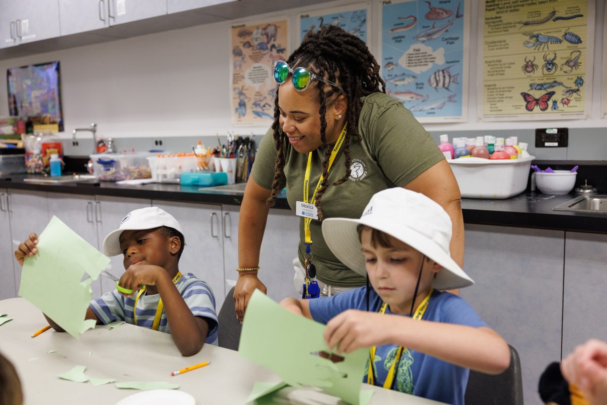 Tennessee Aquarium Summer Camp.
