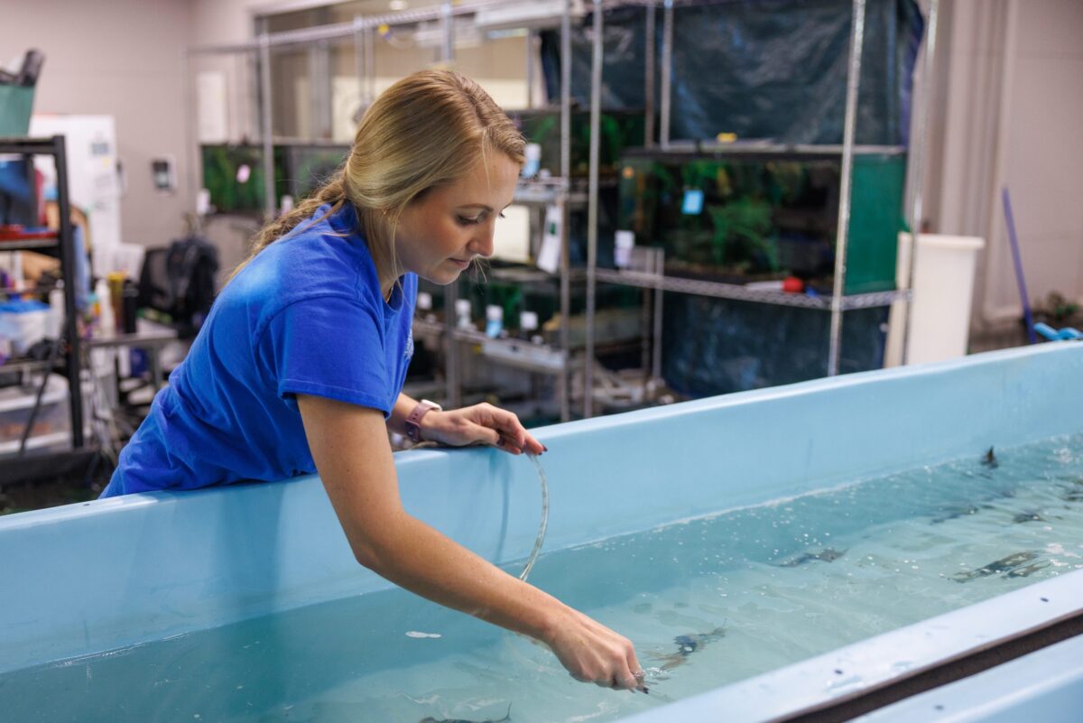 Conservation Volunteer Paige McQuown at the Tennessee Aquarium Conservation Institute.
