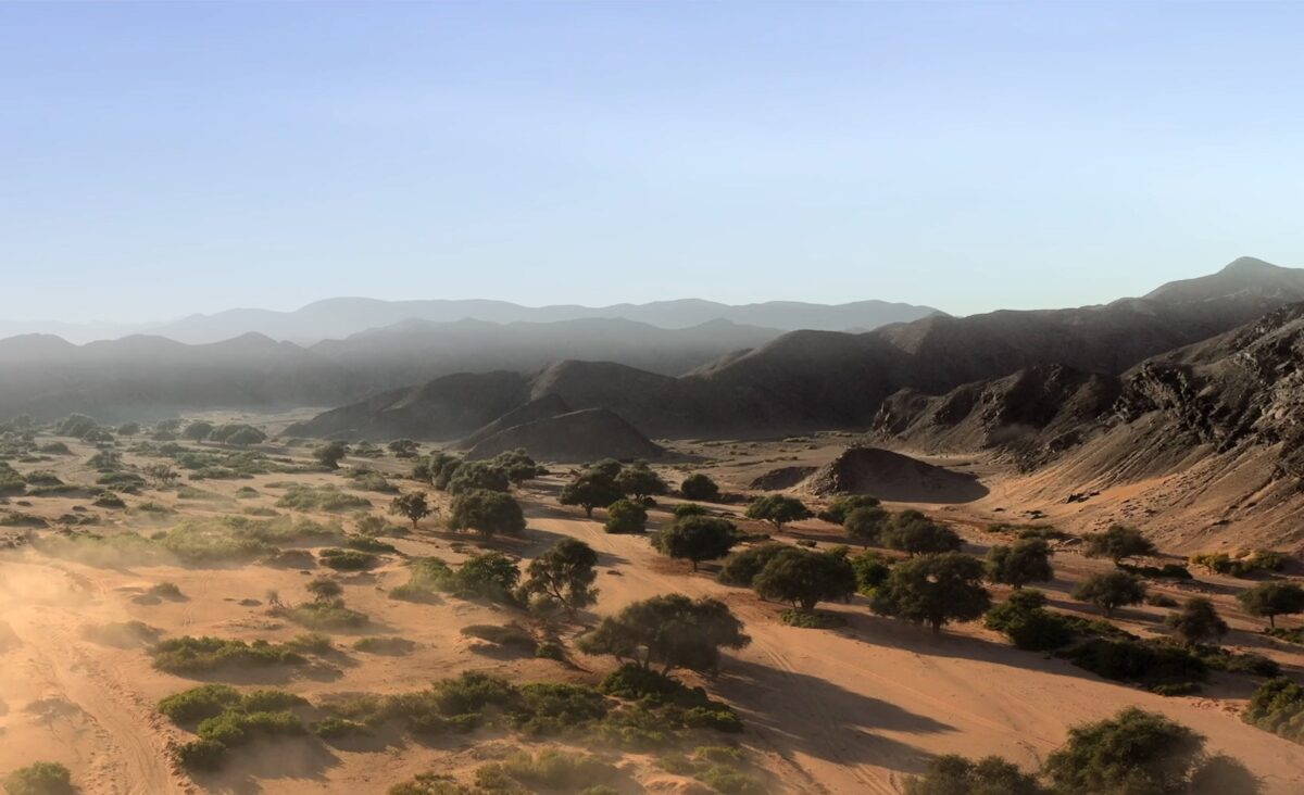 The Namib Desert, the setting of Elephants: Giants of the Desert 3D, is one of the oldest and driest deserts on Earth, with maximum annual rainfall of less than 3.5 inches.